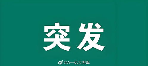 韻一敲的可愛主貼 探索新浪股市匯中的財(cái)經(jīng)智慧與中購?fù)顿Y策略