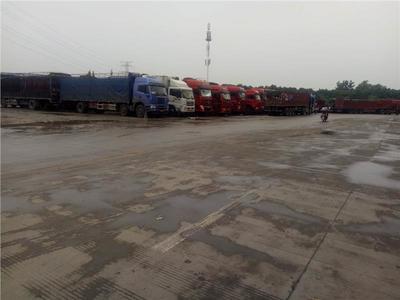 溫州貨運(yùn)公司 配送物流 省時省心